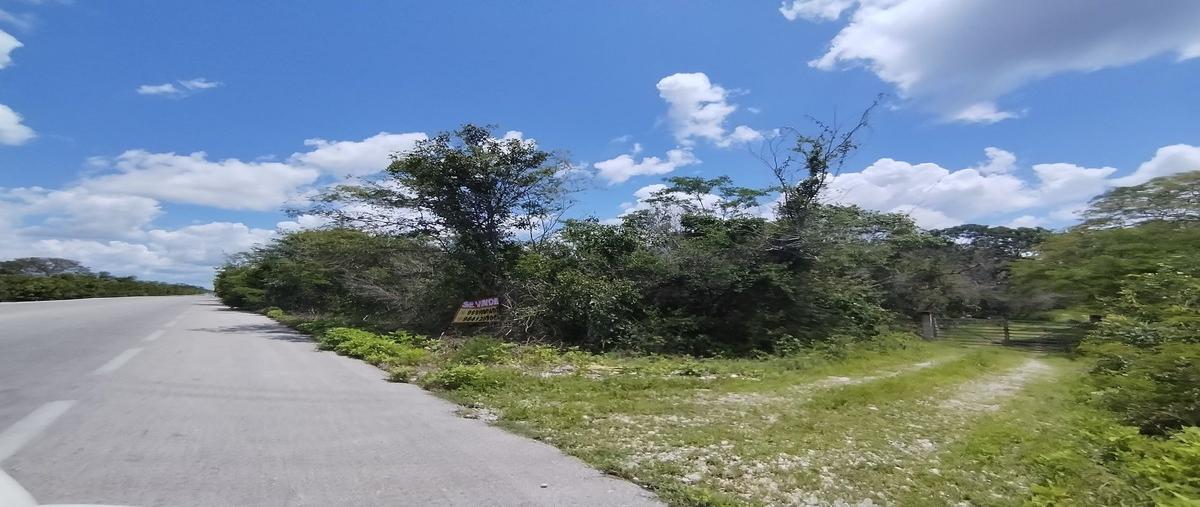 Foto de terreno habitacional en venta en  , tetiz, tetiz, yucatán, 0 No. 03