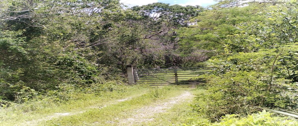 Foto de terreno habitacional en venta en  , tetiz, tetiz, yucatán, 0 No. 04