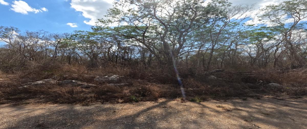 Foto de terreno habitacional en venta en  , tetiz, tetiz, yucatán, 0 No. 04