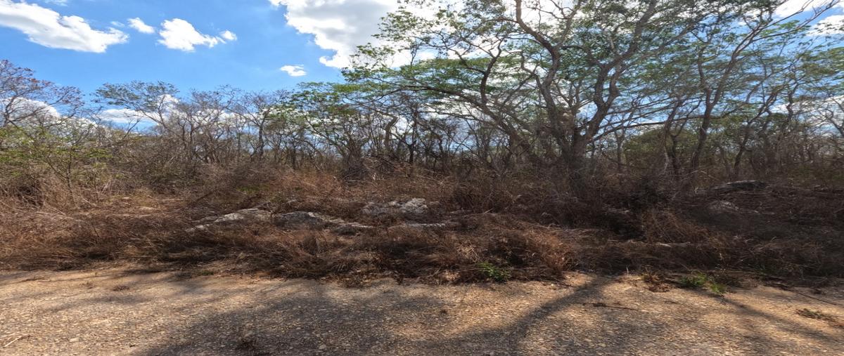 Foto de terreno habitacional en venta en  , tetiz, tetiz, yucatán, 0 No. 05