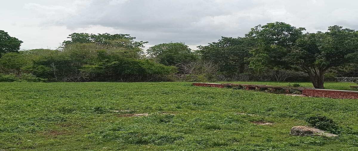 Foto de terreno habitacional en venta en  , tetiz, tetiz, yucatán, 0 No. 03