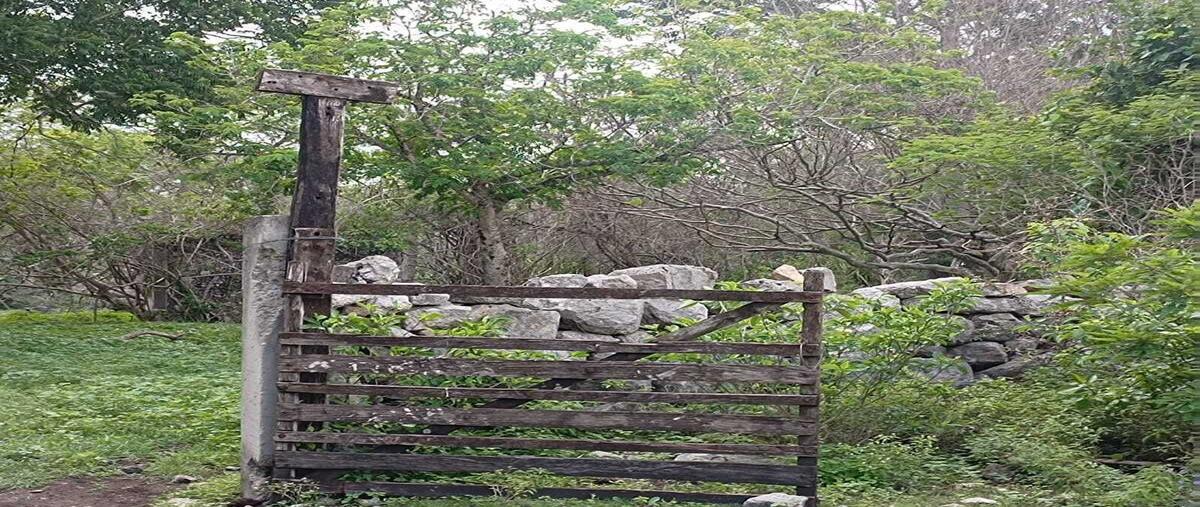 Foto de terreno habitacional en venta en  , tetiz, tetiz, yucatán, 0 No. 04