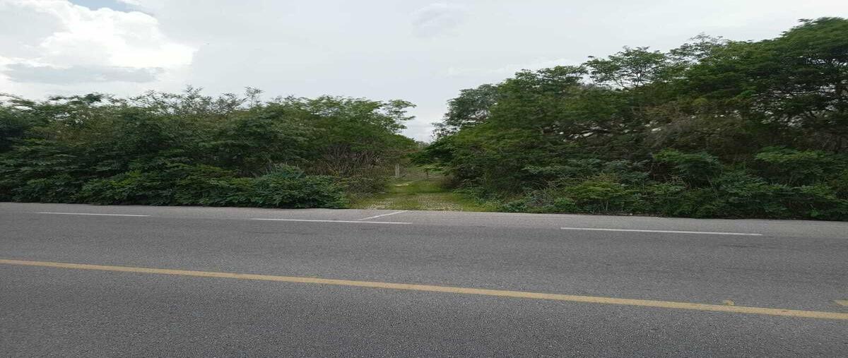 Foto de terreno habitacional en venta en  , tetiz, tetiz, yucatán, 0 No. 05