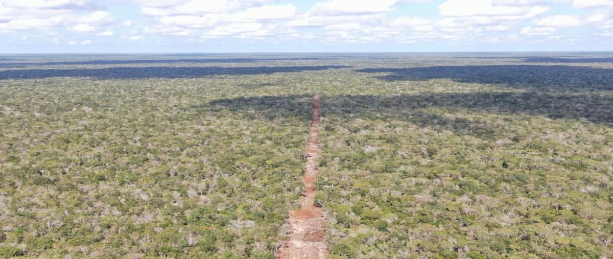 Foto de terreno habitacional en venta en  , tetiz, tetiz, yucatán, 0 No. 04