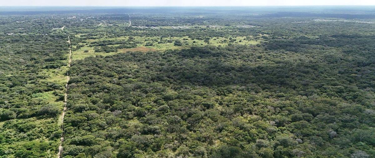 Foto de terreno habitacional en venta en . , tetiz, tetiz, yucatán, 0 No. 03