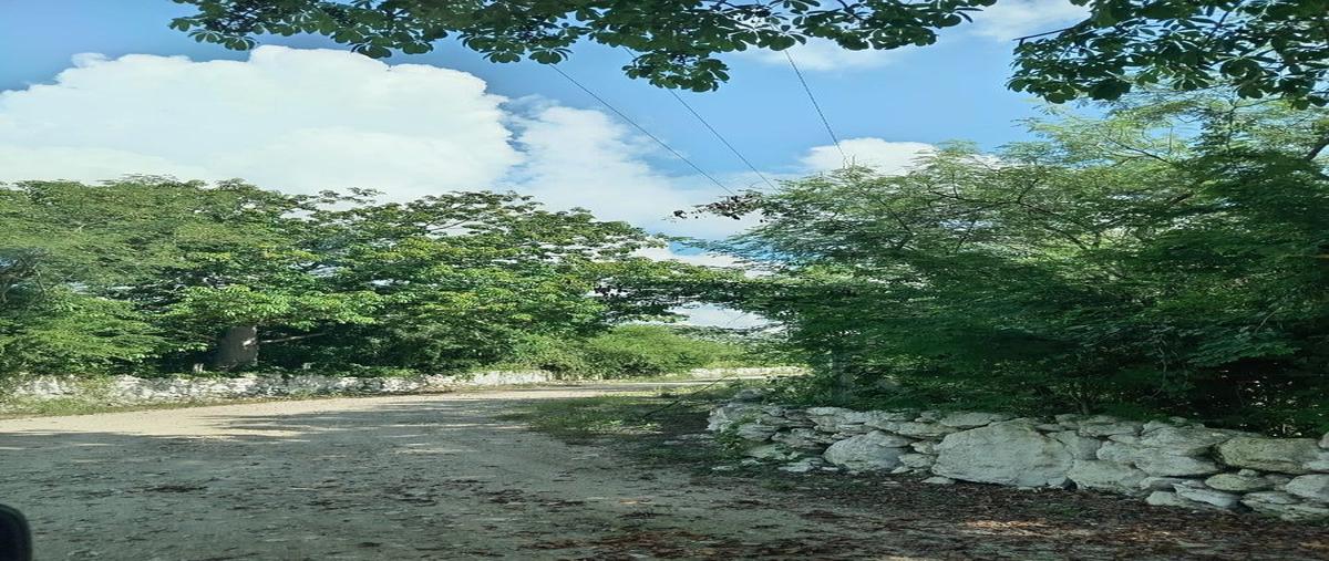 Foto de terreno habitacional en venta en . , tetiz, tetiz, yucatán, 0 No. 04
