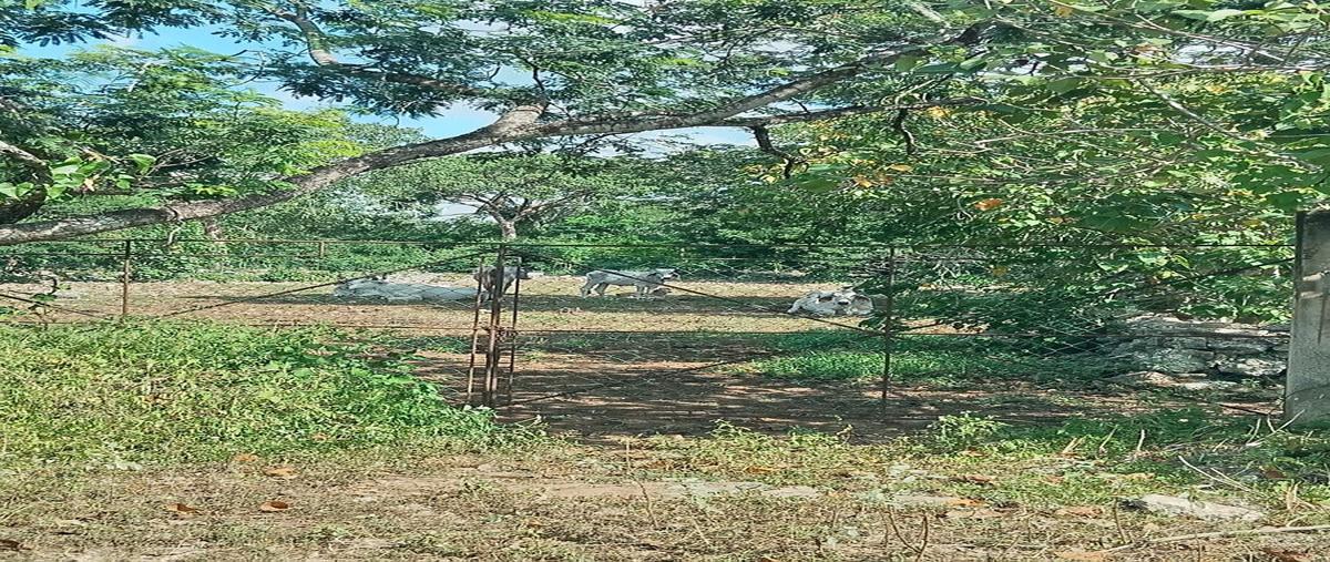 Foto de terreno habitacional en venta en . , tetiz, tetiz, yucatán, 0 No. 05