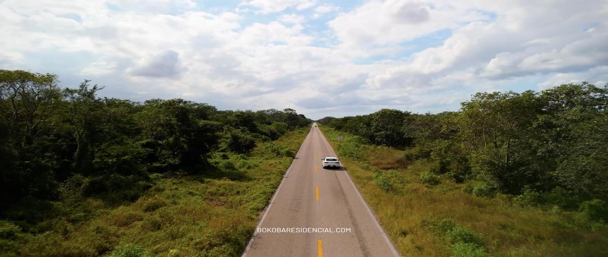 Foto de terreno habitacional en venta en  , tetiz, tetiz, yucatán, 0 No. 03