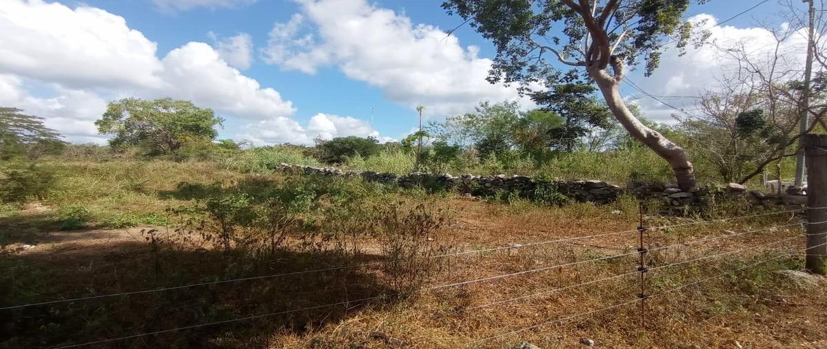 Foto de terreno habitacional en venta en  , tetiz, tetiz, yucatán, 0 No. 04