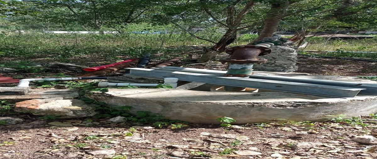 Foto de terreno habitacional en venta en  , tetiz, tetiz, yucatán, 0 No. 05