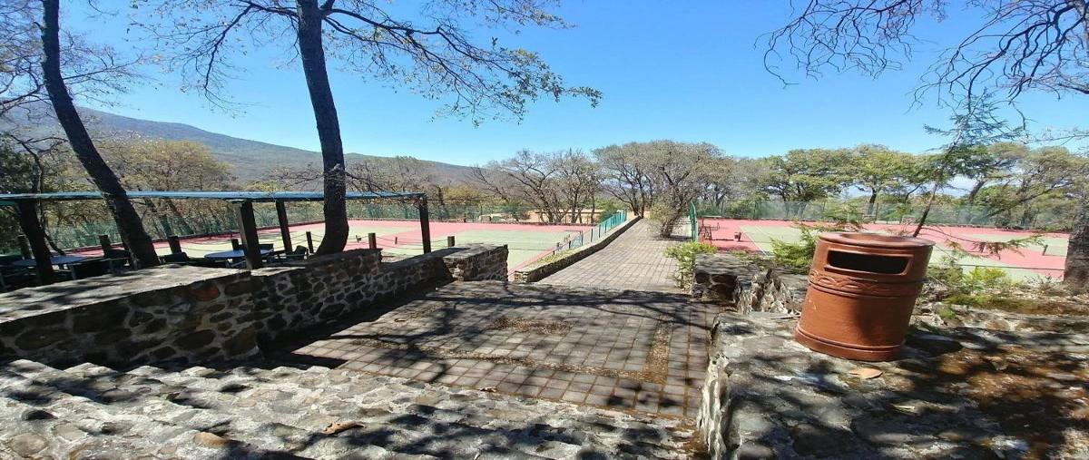 Foto de terreno habitacional en venta en  , teuchitlán, teuchitlán, jalisco, 0 No. 04