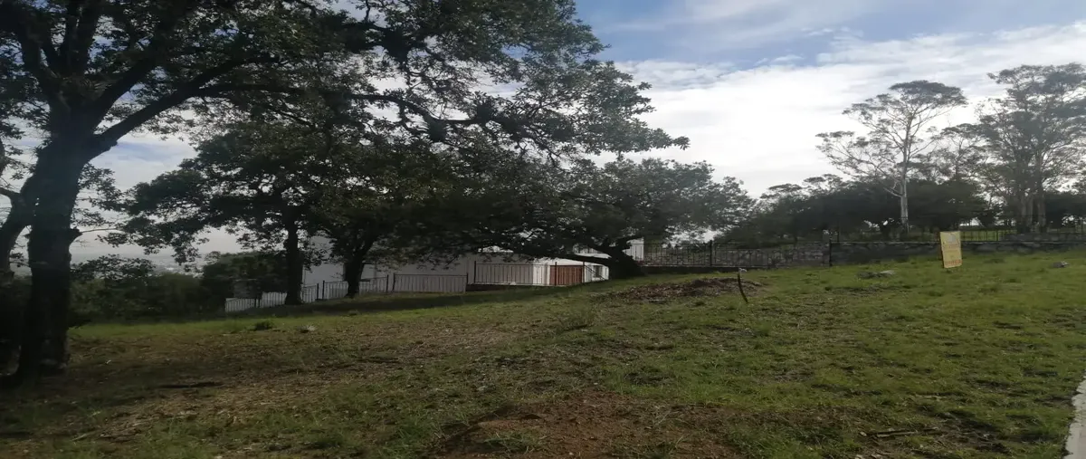 Foto de terreno habitacional en venta en teuladi 905, campestre haras, amozoc, puebla, 26074192 No. 03
