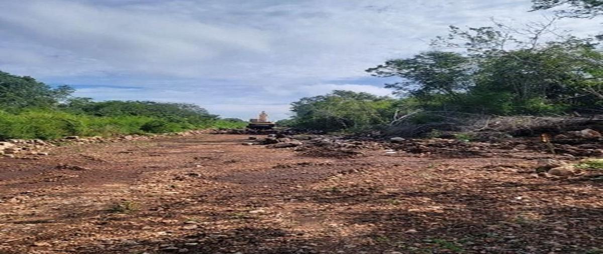Foto de terreno habitacional en venta en  , texán cámara, mérida, yucatán, 0 No. 03