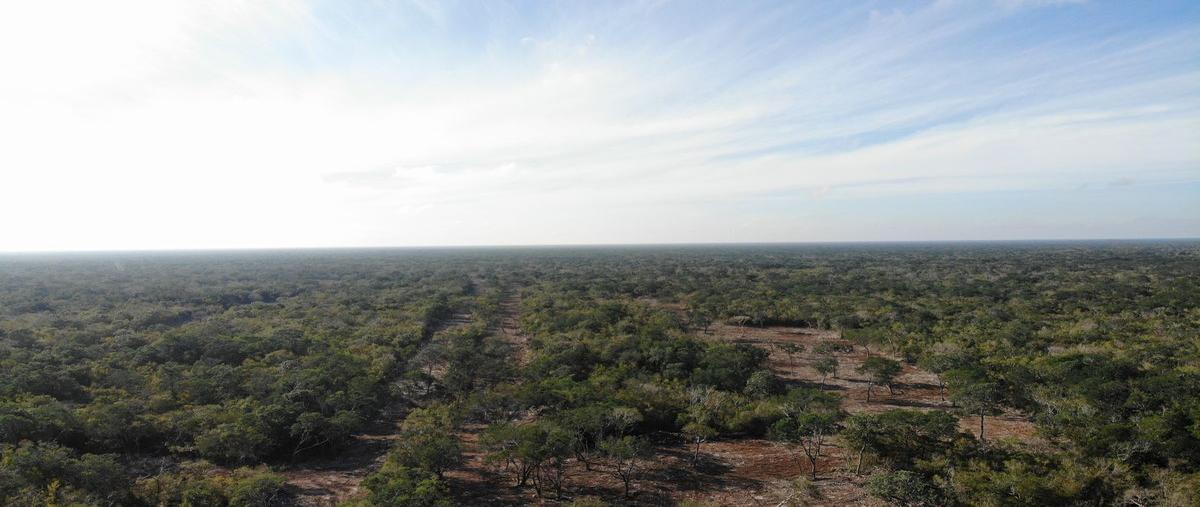 Foto de nave industrial en , texan palomeque, hunucmá, yucatán, 24806980 foto 03 Foto de nave industrial en venta en , texan palomeque, hunucmá, yucatán, 24806980 No. 03