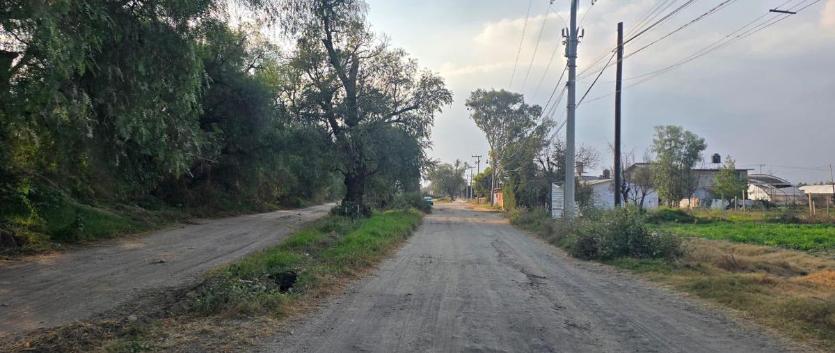 Foto de terreno habitacional en venta en  , texcoco de mora centro, texcoco, méxico, 31091031 No. 05