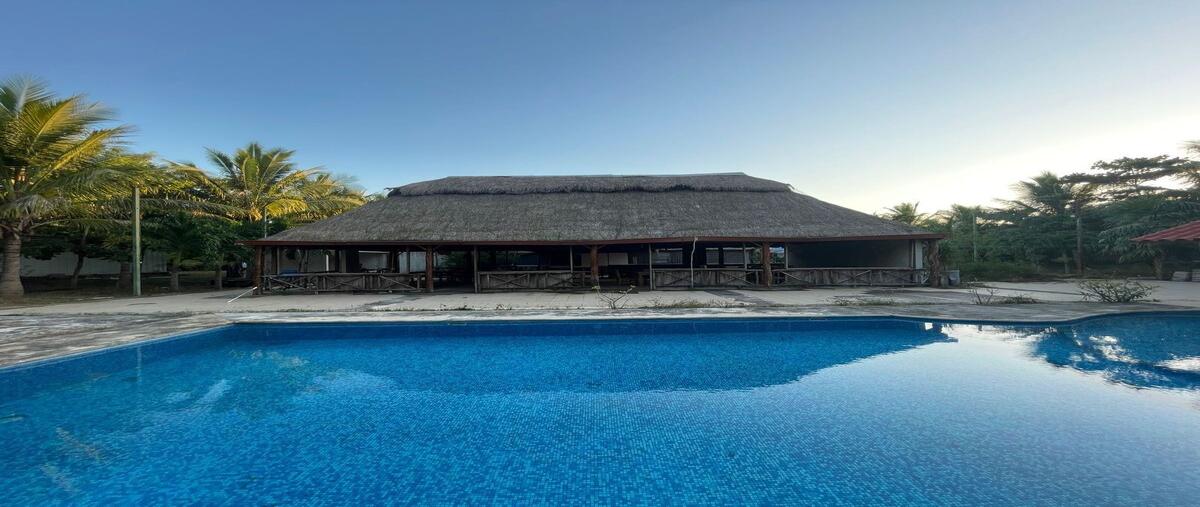 Foto de terreno habitacional en venta en  , teya, kanasín, yucatán, 21587131 No. 04