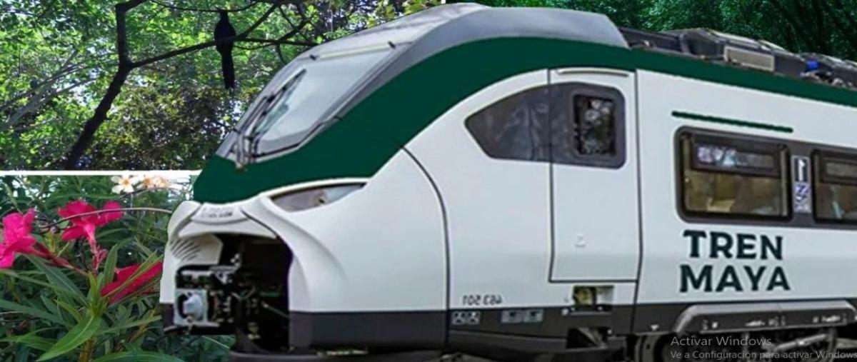 Foto de terreno habitacional en venta en  , teya, kanasín, yucatán, 28534539 No. 05