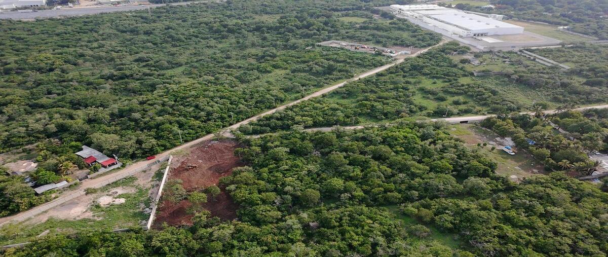 Foto de terreno habitacional en venta en  , teya, kanasín, yucatán, 30525913 No. 05