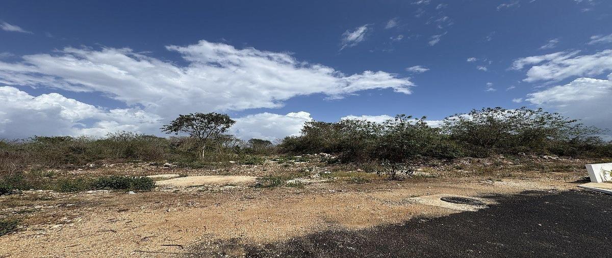 Foto de terreno habitacional en venta en  , teya, kanasín, yucatán, 0 No. 03