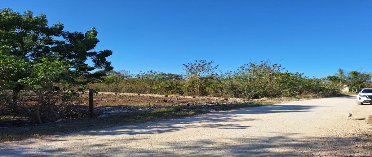 Foto de terreno habitacional en renta en  , teya, kanasín, yucatán, 0 No. 03