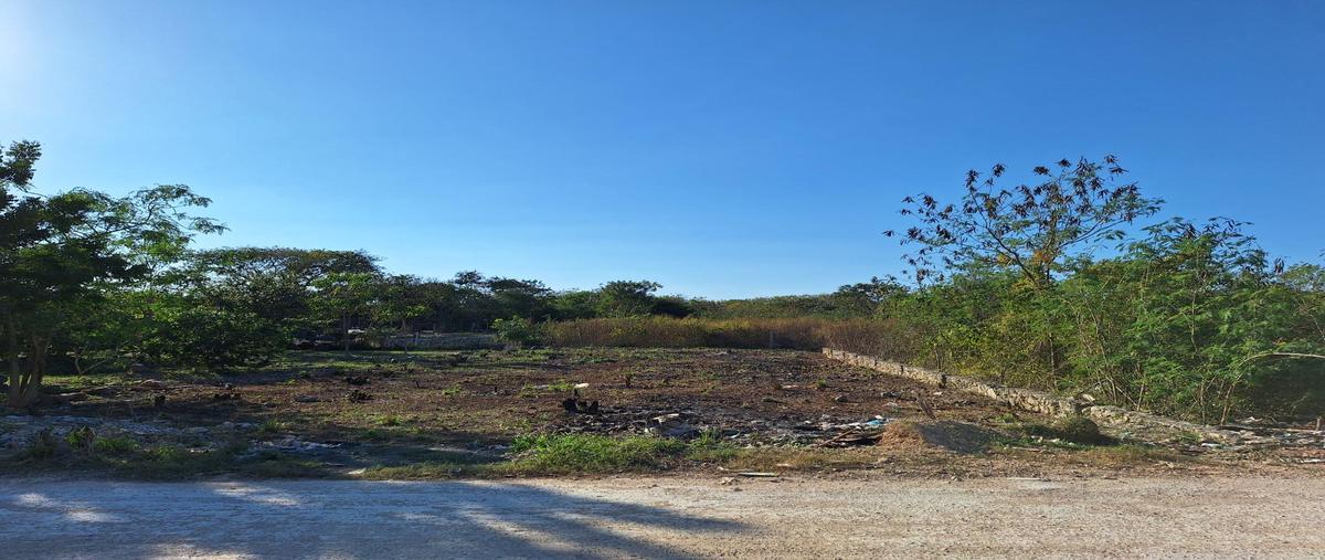 Foto de terreno habitacional en renta en  , teya, kanasín, yucatán, 0 No. 05
