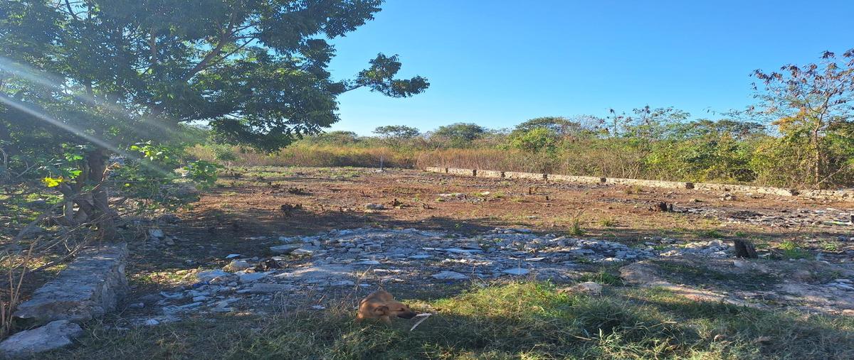 Foto de terreno habitacional en renta en  , teya, kanasín, yucatán, 31426448 No. 09