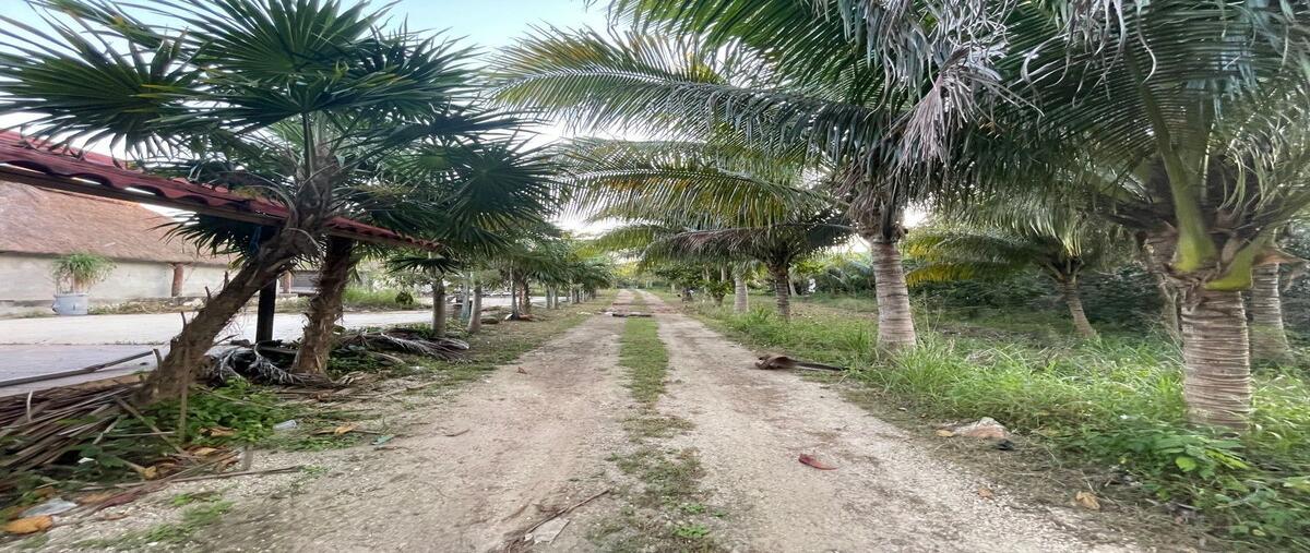 Foto de terreno habitacional en renta en teya , teya, kanasín, yucatán, 24979991 No. 05
