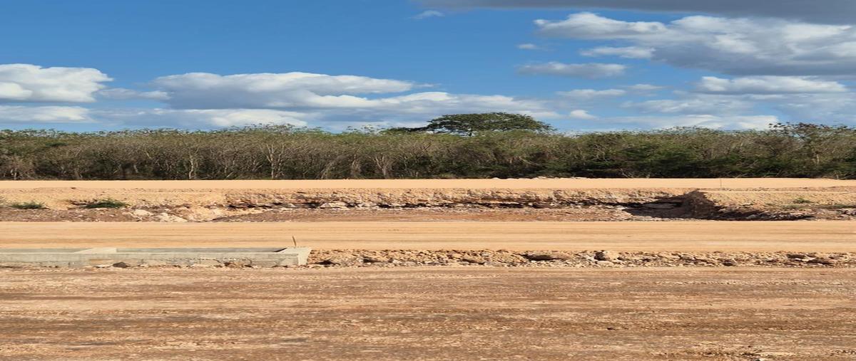 Foto de bodega en , teya, teya, yucatán, 0 foto 05 Foto de bodega en venta en , teya, teya, yucatán, 0 No. 05