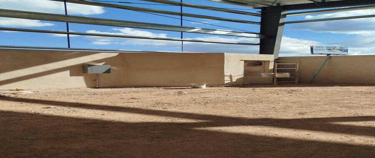 Foto de bodega en , teya, teya, yucatán, 0 foto 03 Foto de bodega en venta en , teya, teya, yucatán, 0 No. 03