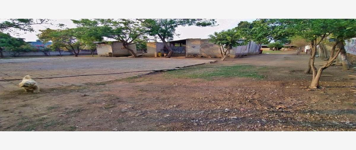 Foto de terreno habitacional en venta en tezahuapan 33, tetelcingo, cuautla, morelos, 24905147 No. 04