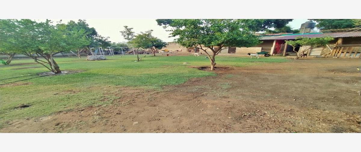 Foto de terreno habitacional en venta en tezahuapan 33, tetelcingo, cuautla, morelos, 24905147 No. 05