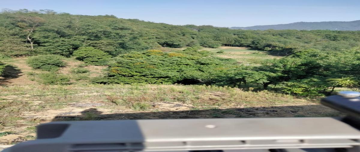 Foto de terreno habitacional en venta en  , teziutlán centro, teziutlán, puebla, 29332715 No. 03