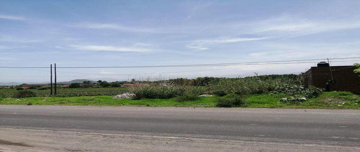 Foto de terreno habitacional en venta en  , tezoyuca, emiliano zapata, morelos, 30893672 No. 03