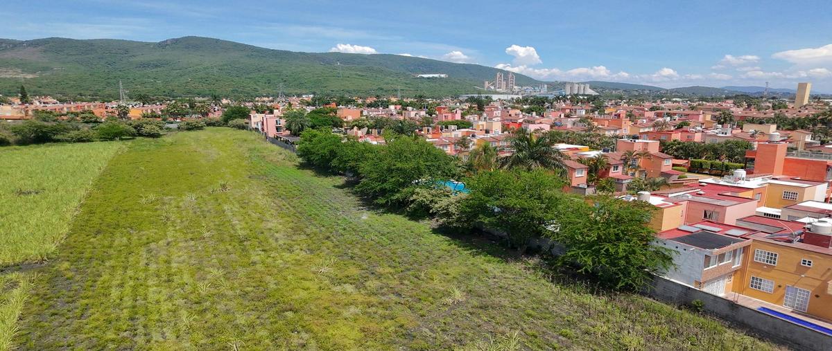 Foto de terreno habitacional en venta en  , tezoyuca, emiliano zapata, morelos, 0 No. 04