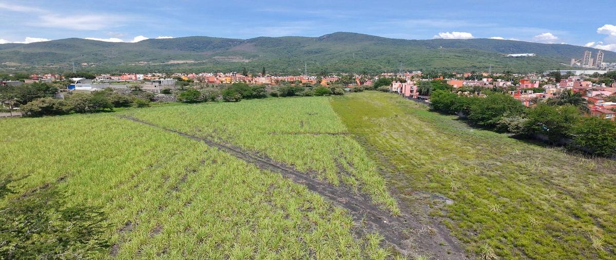 Foto de terreno habitacional en venta en  , tezoyuca, emiliano zapata, morelos, 0 No. 05