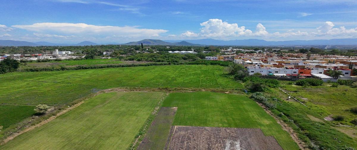 Foto de terreno habitacional en venta en  , tezoyuca, emiliano zapata, morelos, 0 No. 03