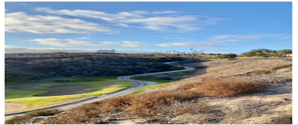 Foto de terreno habitacional en venta en the plaza at bajamar , bajamar, ensenada, baja california, 28554419 No. 05