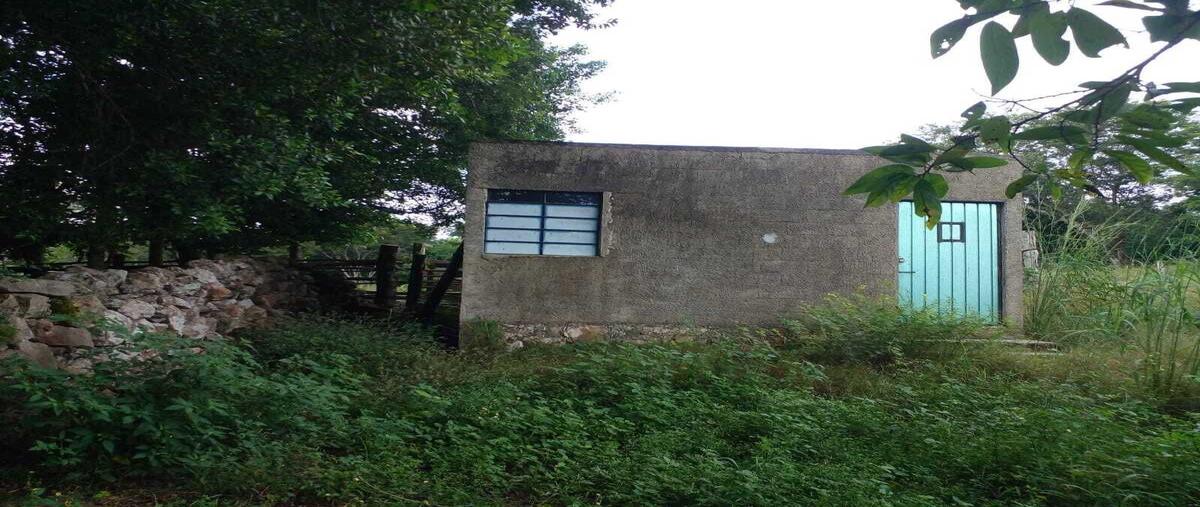 Foto de rancho en venta en  , tibolon, sotuta, yucatán, 29740506 No. 03