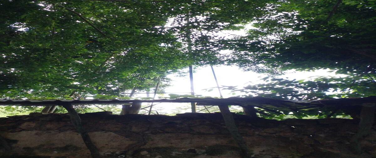 Foto de rancho en venta en  , tibolon, sotuta, yucatán, 0 No. 05