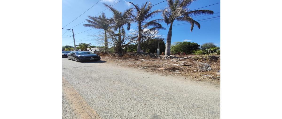 Foto de terreno habitacional en venta en  , ticopo, acanceh, yucatán, 0 No. 03