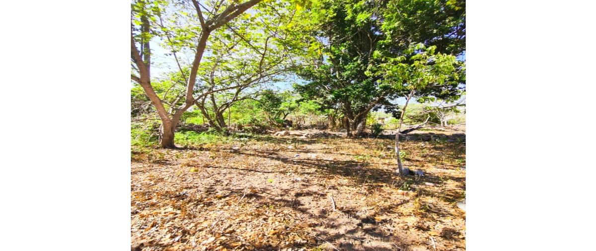 Foto de terreno habitacional en venta en  , ticopo, acanceh, yucatán, 0 No. 04