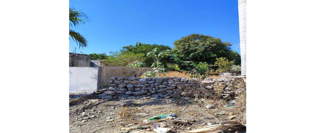 Foto de terreno habitacional en venta en  , ticopo, acanceh, yucatán, 0 No. 05
