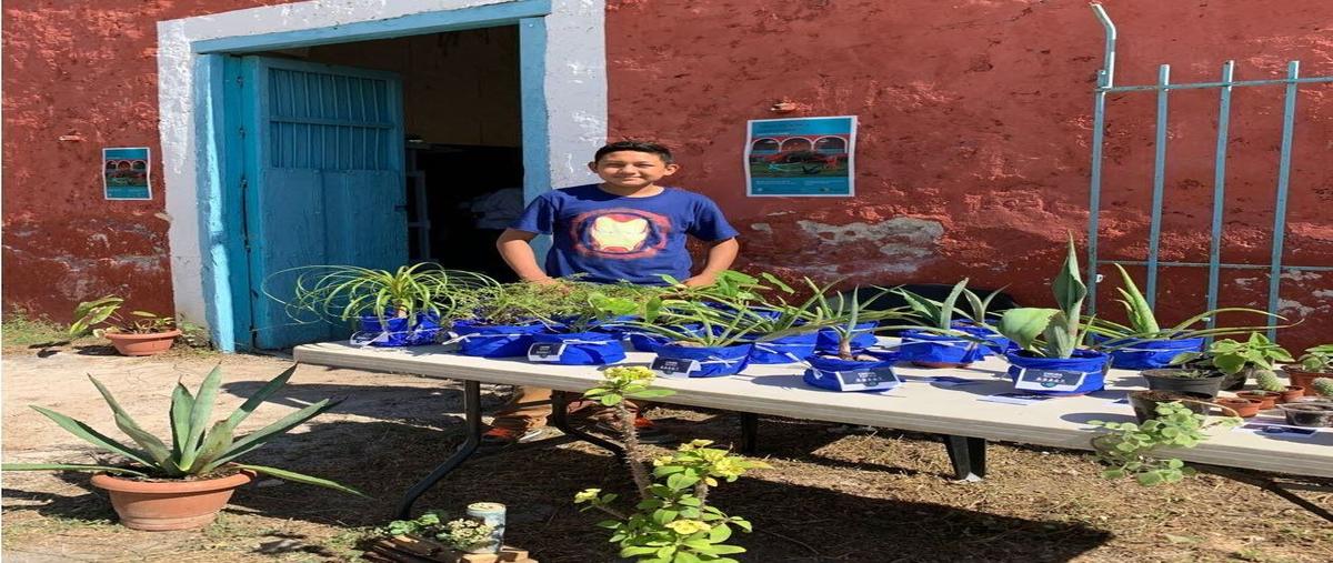 Foto de local en venta en  , ticopo, acanceh, yucatán, 28594692 No. 04