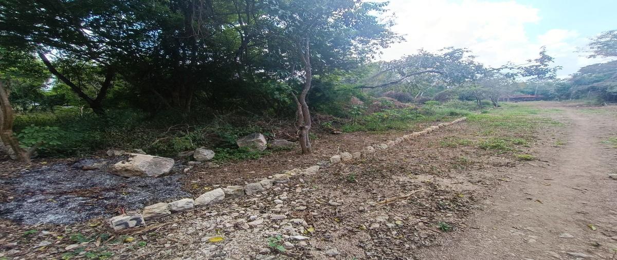 Foto de terreno habitacional en venta en ticopó , ticopo, acanceh, yucatán, 0 No. 04