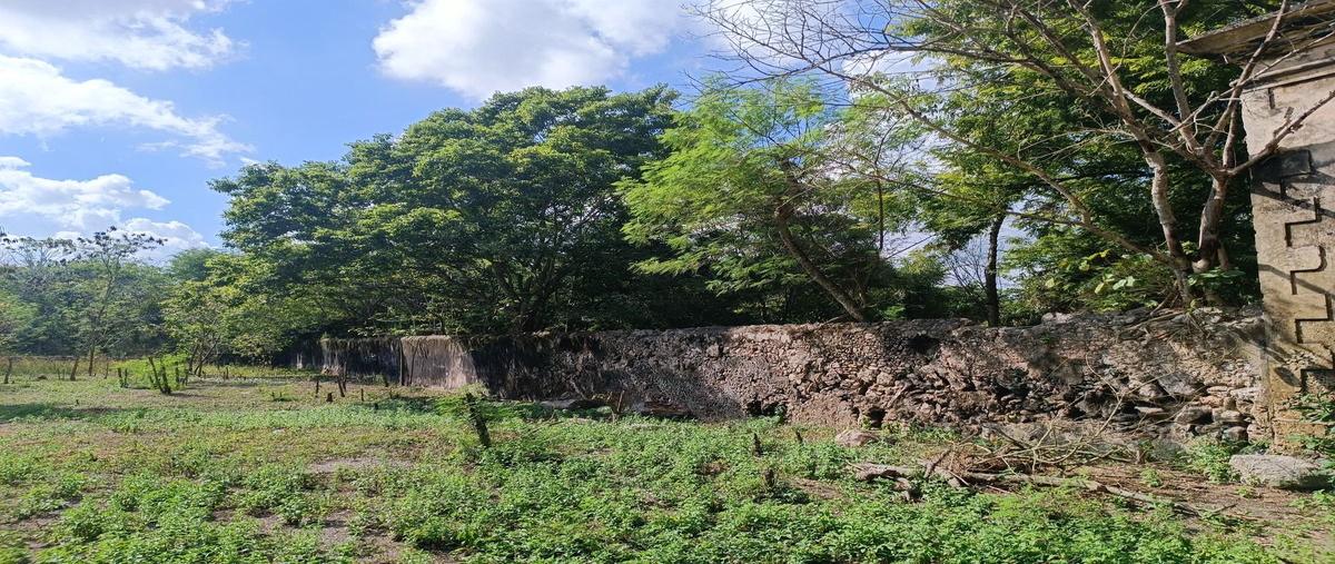 Foto de terreno habitacional en venta en ticopó , ticopo, acanceh, yucatán, 0 No. 05