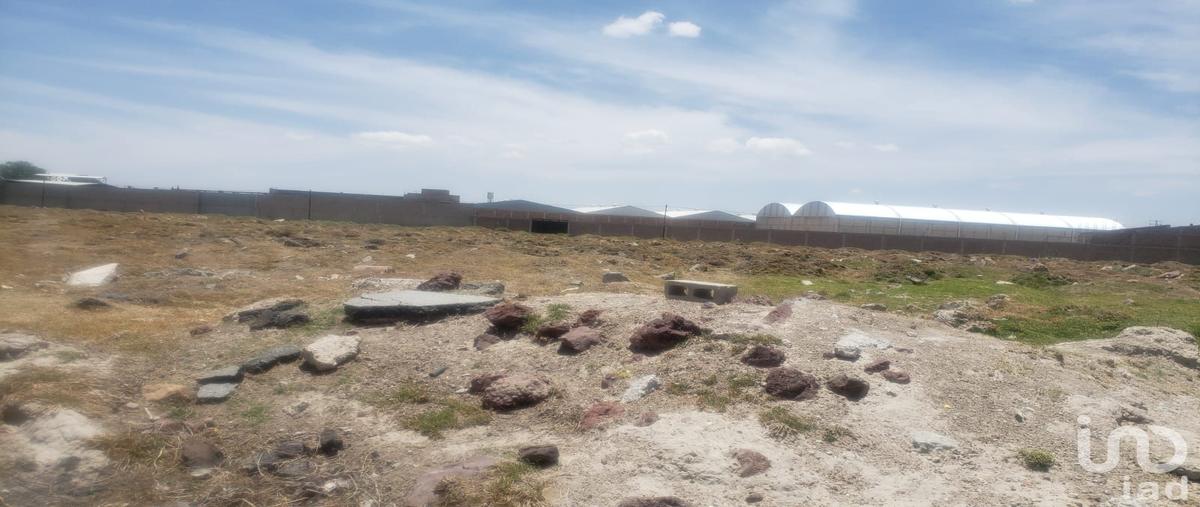 Foto de terreno comercial en ticuautla , nueva tlaxiaca, san agustín tlaxiaca, hidalgo, 30216292 foto 05 Foto de terreno comercial en venta en ticuautla , nueva tlaxiaca, san agustín tlaxiaca, hidalgo, 30216292 No. 05