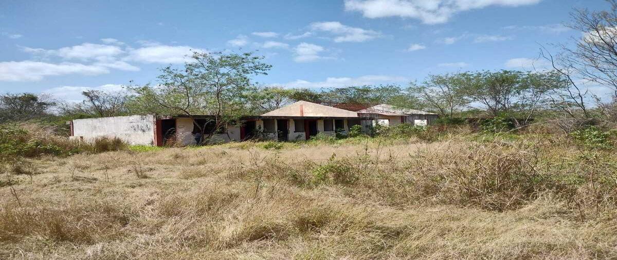 Foto de terreno habitacional en , ticul centro, ticul, yucatán, 0 foto 04 Foto de terreno habitacional en venta en , ticul centro, ticul, yucatán, 0 No. 04