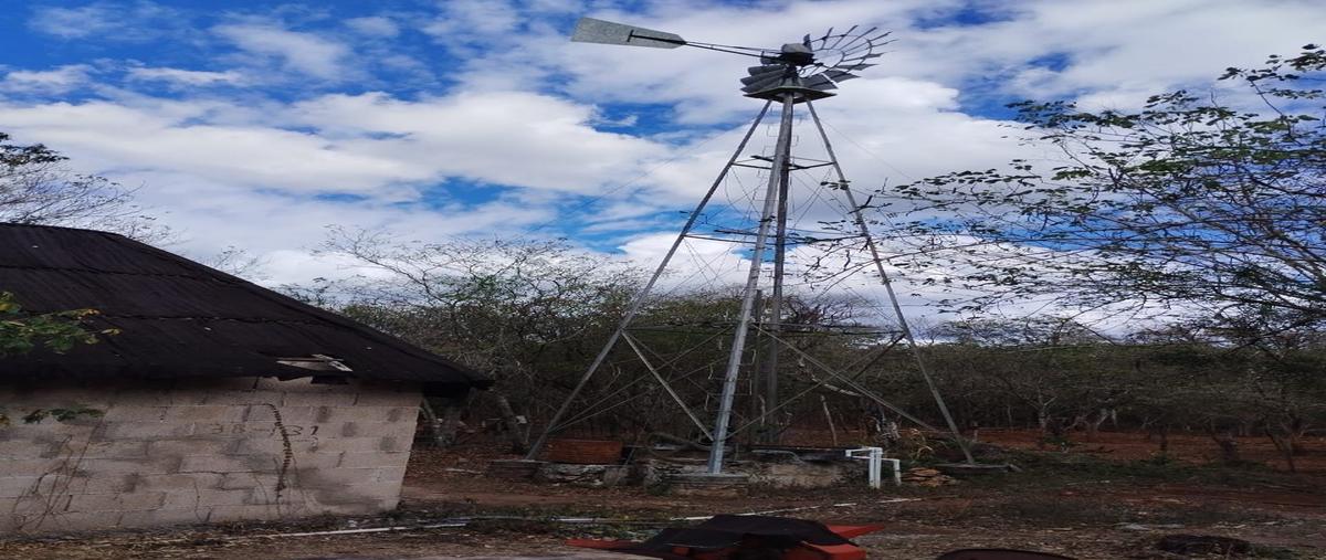 Foto de terreno habitacional en venta en  , ticul centro, ticul, yucatán, 0 No. 03