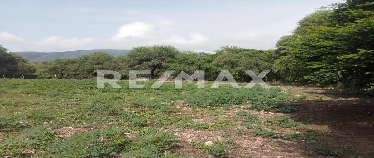 Foto de terreno habitacional en venta en ticumán , ticuman, tlaltizapán de zapata, morelos, 30343651 No. 03