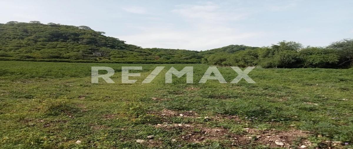 Foto de terreno habitacional en venta en ticumán , ticuman, tlaltizapán de zapata, morelos, 30343651 No. 04